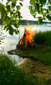 Juhannuskokko