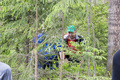 Mitä ihmettä sieltä pusikosta löytyy?